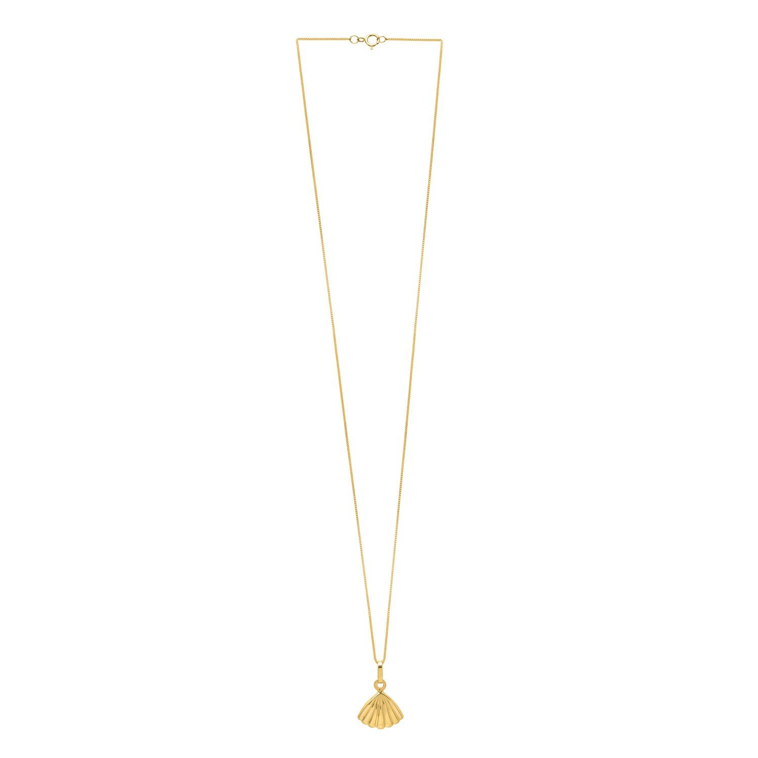 Sea Shell Necklace in 10K Yellow Gold - Image 2