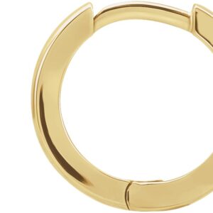 10K/14K Gold Hinged Hoop Earrings